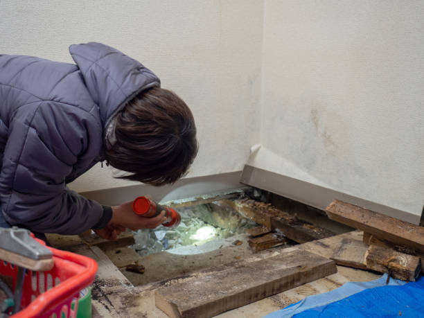 Best HVAC Mold Inspection and Cleaning  in Texkana, AR