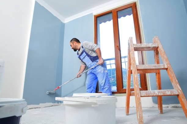 Professional Mold Removal in Texarkana, AR
