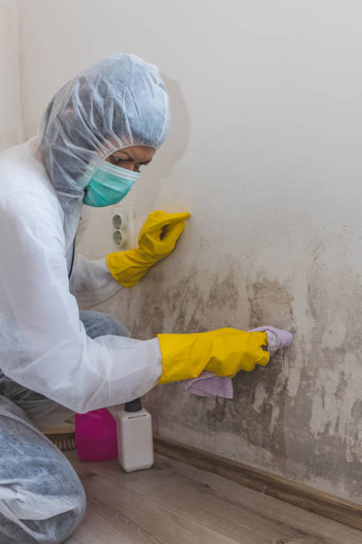 Best Dehumidification Services  in Texkana, AR