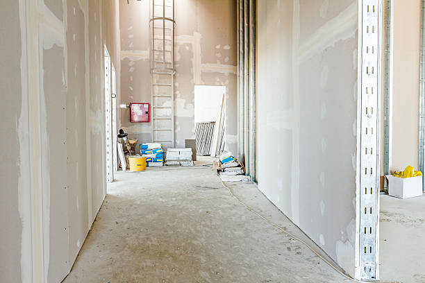Best Post-Construction Mold Inspection  in Texkana, AR